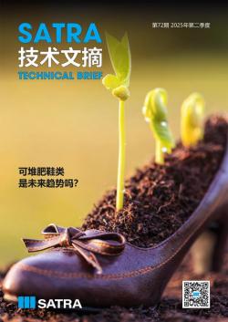 STB第72期封面图片。